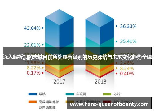 深入解析加的夫城目前所处联赛级别的历史脉络与未来变化趋势全貌