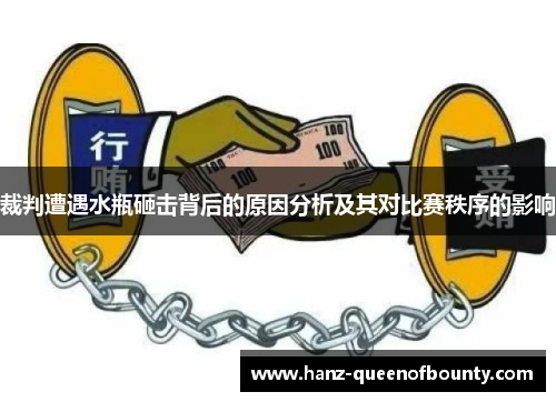 裁判遭遇水瓶砸击背后的原因分析及其对比赛秩序的影响