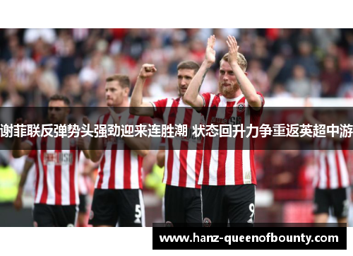 谢菲联反弹势头强劲迎来连胜潮 状态回升力争重返英超中游