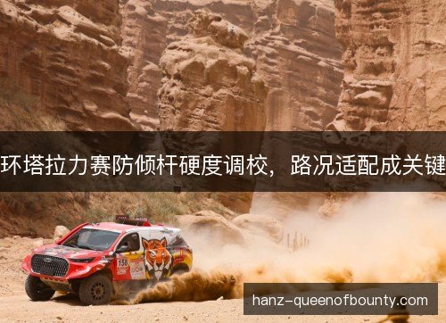 环塔拉力赛防倾杆硬度调校，路况适配成关键